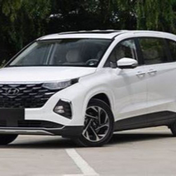 Hyundai Custo